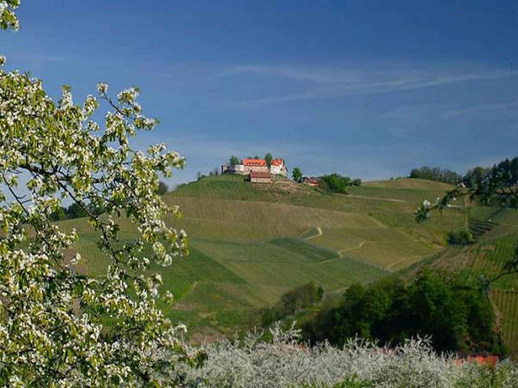 Gasthaus Hohberg Durbach Exterior photo